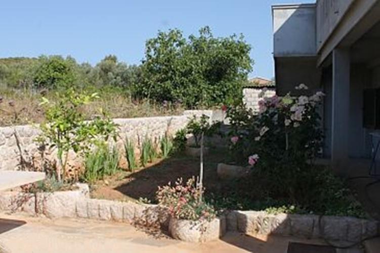 Apartments Pasman Banj Δωμάτιο φωτογραφία